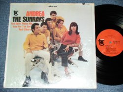 画像1: The SUNRAYS - ANDREA  ( STEREO :  Ex++/MINT-, BB Hole ) / 1966 US ORIGINAL STEREO  LP