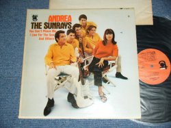画像1: The SUNRAYS - ANDREA  ( MONO : T1-5017-D1/T2-5017-D1 Hand Writings Ex+/Ex+++ ) / 1966 US ORIGINAL MONO  LP