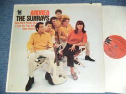 画像1: The SUNRAYS - ANDREA  ( MONO : T1-5017-G2/T2-5017-F1  Ex+/MINT-, BB Hole ) / 1966 US ORIGINAL MONO  LP