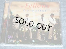 画像1: THE FELLOWS - THE COLOURFUL FELLOWS / 2008  NETHERLANDS ( HOLLAND) Brand New CD 