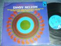 SANDY NELSON - REBIRTH OF THE BEAT / 1969 US ANERICA  ORIGINAL  Used  LP 