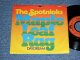 SPOTNICKS, The - MAPLE LEAF RAG  (Ex++/MINT-  )  / 1974 WEST-GERMANY GERMAN  ORIGINAL Used 7" Single  with PICTURE SLEEVE 