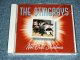 THE STINGRAYS - NOT JUST SHADOWS / 2002 HOLLAND ORIGINAL Used CD 