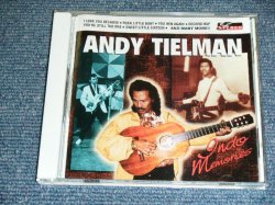 画像1: ANDY TIELMAN - INDO MEMORIES ( INSTRO at INDO ) / 1997 HOLLAND ORIGINAL BRAND NEW CD 