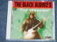 The BLACK ALBINO'S - PLAY "THE WARRIOR"   ( EUROPEAN STYLE INST  .) /  1997  HOLLAND ORIGINAL Used CD 