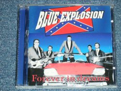 画像1: BLUE EXPLOSION -  FOREVER IN DREAMS  ( 5 Songs INST. 20 Songs With Vocal  : EUROPEAN STYLE INST  .) / 1994 HOLLAND ORIGINAL Used CD 
