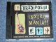 BRADIPOS IV - INSTRO MANIA!! /  1999 ITALIA ITALY  ORIGINAL Used CD 