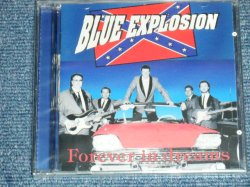 画像1: BLUE EXPLOSION -  FOREVER IN DREAMS  ( 5 Songs INST. 20 Songs With Vocal  : EUROPEAN STYLE INST  .) / 1994 HOLLAND ORIGINAL "BRAND NEW SEALED" CD 