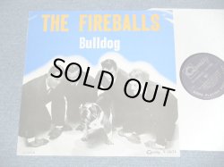 画像1: THE FIREBALLS -  BULLDOG  /  1980's EUROPE  "BRAND NEW" LP 