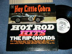 画像1: THE RIP CHORDS - HEY LITTLE COBRA  ( Matrix # 1H/1D ; Ex+,Ex++/Ex+++ )   / 1964 US ORIGINAL "WHIET LABEL PROMO"  MONO Used  LP 