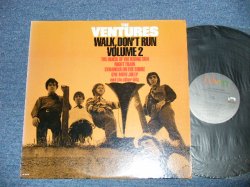 画像1: THE VENTURES - WALK DON'T RUN VOL.2 ( Ex++/Ex+++  / 1982 US AMERICA REISSUE "10 TRACKS Version"  Used   LP 