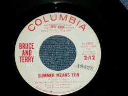 画像1: BRUCE and TERRY (BRUCE JOHNSTON & TERRY MELCHER Works)  -  SUMMER MEANS FUN : YEAH!  ( MINT-/MINT- )  / 1964 US AMERICA ORIGINAL "WHITE LABEL PROMO" Used 7" Single