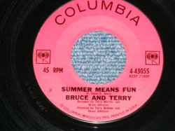 画像1: BRUCE and TERRY (BRUCE JOHNSTON & TERRY MELCHER Works)  -  SUMMER MEANS FUN : YEAH!  ( MINT-/MINT- )  / 1964 US AMERICA ORIGINAL Used 7" Single