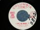 BRUCE and TERRY (BRUCE JOHNSTON & TERRY MELCHER Works)  -  I LOVE YOU MODEL "T" : CARMEN  ( MINT-/MINT- : WOL)  / 1965 US AMERICA ORIGINAL "WHITE LABEL PROMO" Used 7" Single
