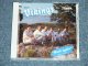 THE VIKINGS - BACK AGAIN 1961-1991 ( MINT/MINT) / 1991 SWEDEN ORIGINAL Used CD