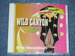 画像1: WILD CANYON - 18 GUITAR TRACKS ( MINT/MINT) / 1990 WEST-GRERMANY ORIGINAL Used CD