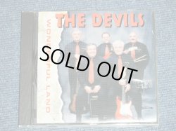 画像1: The DEVILS - WONDERFUL LAND ( MINT-/MINT) /   2001 FINLAND  ORIGINAL Used  CD 