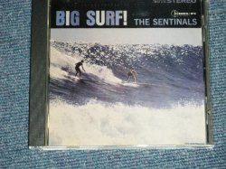 画像1: THE SENTINALS - BIG SURF (MINT-/MINT)  / 1994 US AMERICA Used CD 