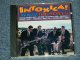 The REVELS - INTOXICA! (MINT-/MINT) / 1994  US AMERICA ORIGINAL Used CD