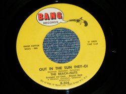 画像1: The BEACH-NUTS - OUT IN THE SUN : SOMEDAY SOON ( Ex+++/Ex+++ ) / 1965 US AMERICA ORIGINAL  Used 7" Single