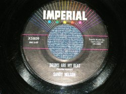 画像1: SANDY NELSON - .DRUMS ARE MY BEAT / THE BIRTH OF THE BEAT: ( Ex Looks:Ex+/Ex Looks:Ex)  /  1962 US AMERICA ORIGINAL Used 7" Single 