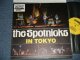 The SPOTNICKS - IN TOKYO (MINT-/MINT) / 1980'S SWEDEN REISSUE Used LP