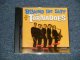 THE TORNADOES - BEYOND THE SURF/THE BEST OF (MINT/MINT) / 1999 US AMERICA ORIGINAL Used CD