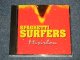 SPAGHETTI SURFERS - MISIRLOU (MINT/MINT) / 1995 US AMERICA ORIGINAL Used Maxi-CD