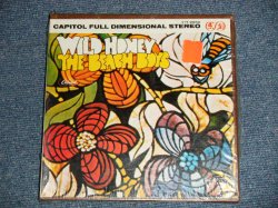 画像1: The BEACH BOYS - WILD HONEY (SEALED) / 1967 US AMERICA ORIGINAL STEREO "BRAND NEW SEALED" REEL-TO-REEL 