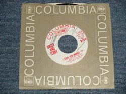 画像1: BRUCE & TERRY(BRUCE JOHNSTON & TERRY MELCHER Works)  - A)I LOVE YOU, MODEL "T"  B)CARMEN (MINT/MINT WOL) / 1965 US AMERICA ORIGINAL "WHITE LABEL PROMO" Used 7" Single