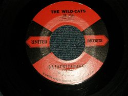 画像1: THE WILD CATS - A)Gazachstahagen  B)Billy's Cha Cha (ORGAN + GUITAR INST.)  (Ex++/Ex++ / 1958 US AMERICA ORIGINAL Used 7" 45 rpm Single 