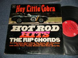 画像1: THE RIP CHORDS - HEY LITTLE COBRA  (Matrix # 1A/1A)(Ex/Ex  WOBC)/ 1964 US AMERICA ORIGINAL 1st Press "2 EYE'S & Guaranteed Label" MONO Used LP 