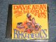 DAVIE ALLAN & THE ARROWS - BYKEDELICS (MINT/MINT)  /1999 GERMAN ORIGINAL Used CD 