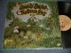The BEACH BOYS - SMILEY SMILE (Matrix # A)T-1-9001-P2 0  B)T-2-9001-P4 0) "JACKSONVILLE Press in ILLINOIS" (Ex++/MINT-) /.1967 US AMERICA ORIGINAL MONO Used LP