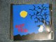 The SURF TRIO - SURF TRIO (MINT-/MINT) / 1993? GERMANY GERMAN ORIGINAL Used CD