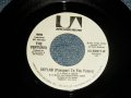 THE VENTURES -  SKYLAB ( Passport To The Future)   A) MONO  B) STEREO (MINT-/MINT-) / 1973 US AMERICA ORIGINAL "PROMO ONLY SAME FLIP MONO/STEREO" Used 7" SINGLE