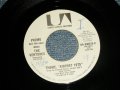 THE VENTURES - THEME, "AIRPORT 1975"  A) MONO  B) STEREO (MINT-/MINT- SWOL) / 1974 US AMERICA ORIGINAL "PROMO ONLY SAME FLIP MONO/STEREO" Used 7" SINGLE