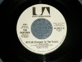 THE VENTURES -  SKYLAB ( Passport To The Future)   A) MONO  B) STEREO (MINT/MINT) / 1973 US AMERICA ORIGINAL "PROMO ONLY SAME FLIP MONO/STEREO" Used 7" SINGLE
