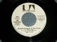 THE VENTURES -  SKYLAB ( Passport To The Future)   A) MONO  B) STEREO (MINT/MINT) / 1973 US AMERICA ORIGINAL "PROMO ONLY SAME FLIP MONO/STEREO" Used 7" SINGLE