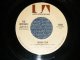 THE VENTURES - A) INDIAN SUN  B)SQUUAW MAN (MINT/MINT) / 1973 US AMERICA ORIGINAL "STOCK COPY" Used 7" SINGLE 