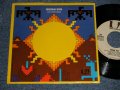 THE VENTURES - A) INDIAN SUN  B)SQUUAW MAN (Ex+++/MINT) / 1973 US AMERICA ORIGINAL "STOCK COPY" Used 7" SINGLE With PICTURE SLEEVE (