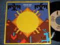 THE VENTURES - A) INDIAN SUN  B)SQUUAW MAN (Ex-/MINT- / 1973 US AMERICA ORIGINAL "PROMO" "A-Side 'PLUG SIDE' Credit Label" Used 7" SINGLE With PICTURE SLEEVE (