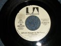 THE VENTURES -  SKYLAB ( Passport To The Future)   A) MONO  B) STEREO (Ex/Ex) / 1973 US AMERICA ORIGINAL "PROMO ONLY SAME FLIP MONO/STEREO" Used 7" SINGLE