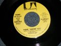 THE VENTURES - THEME, "AIRPORT 1975"  A) MONO  B) STEREO (MINT-/MINT-) / 1974 US AMERICA ORIGINAL "PROMO ONLY SAME FLIP MONO/STEREO" Used 7" SINGLE