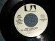 THE VENTURES -  MAIN THEME FROM ”THE YOUNG AND THE RESTLESS  A) MONO  B) STEREO (MINT/MINT) / 1974 US AMERICA ORIGINAL "PROMO ONLY SAME FLIP MONO/STEREO" Used 7" SINGLE