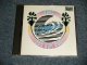 PAPA DOO RUN RUN (SUPROT BAND of JAN & DEAN) - CALIFORNIA PROJECT(MINT-/MINT) / 1985 US AMERICA  ORIGINAL Used CD