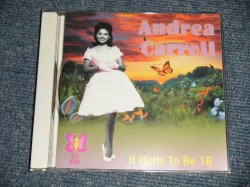 画像1: ANDREA CARROLL - IT HURTS TO BE 16 (Ex/MINT) / 2006 EUROPE  ORIGINAL Used CD