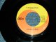 THE BEACH BOYS - A) I CAN HEAR MUSIC   B) ALL I WANT IT (Ex++/Ex++) / 1969 US AMERICA ORIGINAL Used 7" SINGLE