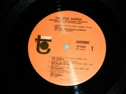 画像9: ost Sound Track : V.A. OMNIBUS : DAVIE ALLAN & The ARROWS - THE WILD ANGELS (Ex++/Ex++) / 1966 US AMERICA "DUOPHONIC STEREO"  Used LP 