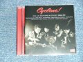 V.A. Various - Cyclone! - Gallic Guitars A-Go-Go 1962-66 (MINT/MINT) / 2019 EUROPE ORIGINAL Used CD 